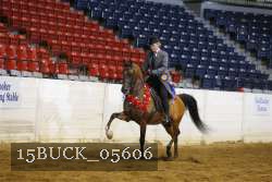15BUCK_05606 proof