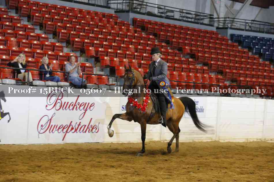 Proof 15BUCK_05607