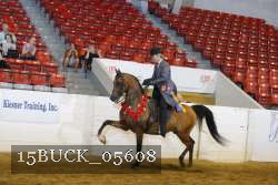 15BUCK_05608 proof