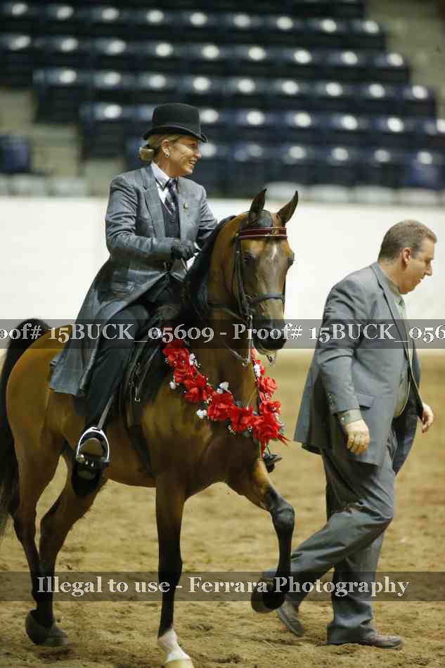 Proof 15BUCK_05609