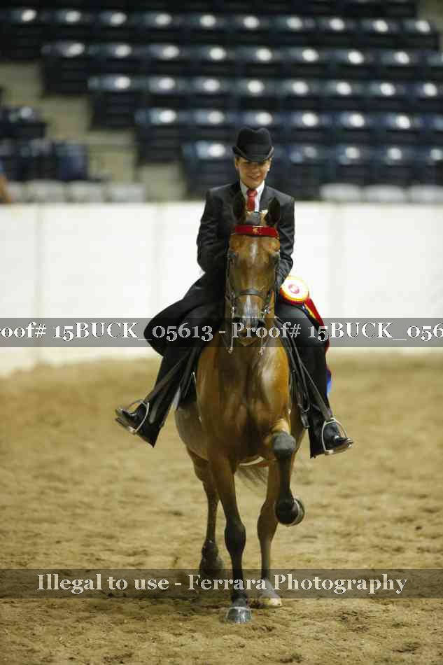 Proof 15BUCK_05613