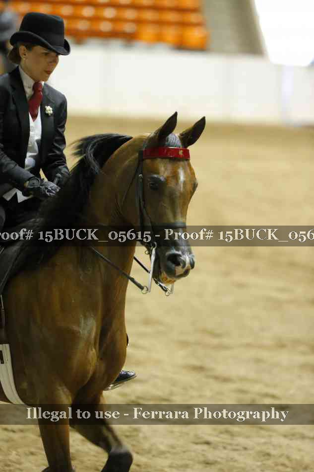 Proof 15BUCK_05615