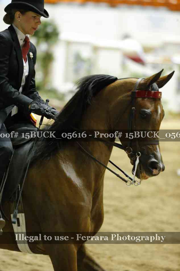 Proof 15BUCK_05616