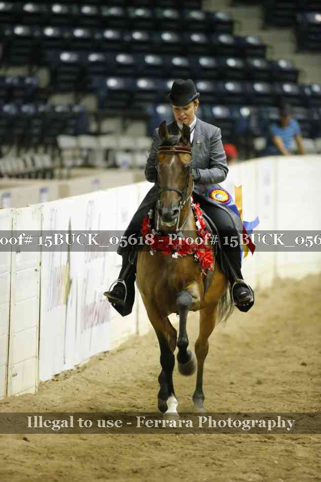 Proof 15BUCK_05618