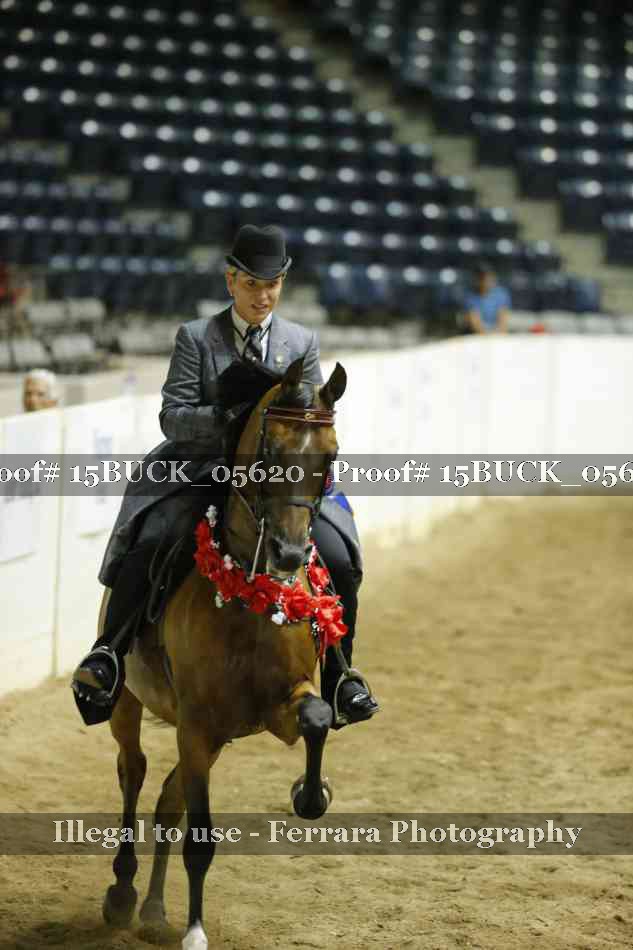 Proof 15BUCK_05620