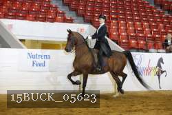 15BUCK_05623 proof