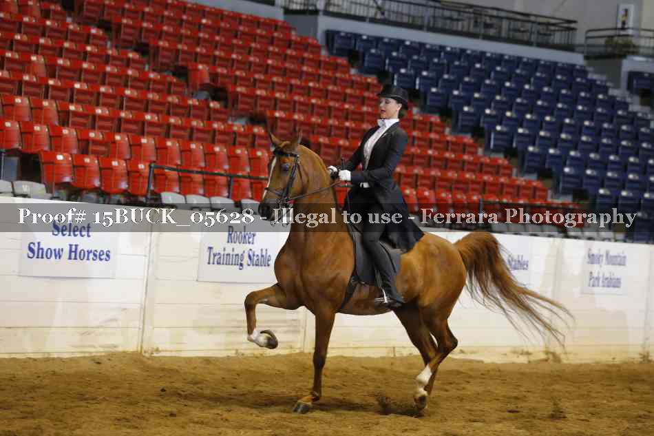Proof 15BUCK_05628