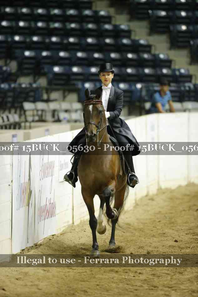 Proof 15BUCK_05630