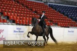 15BUCK_05633 proof