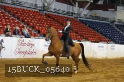 15BUCK_05640 proof