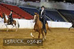 15BUCK_05642 proof