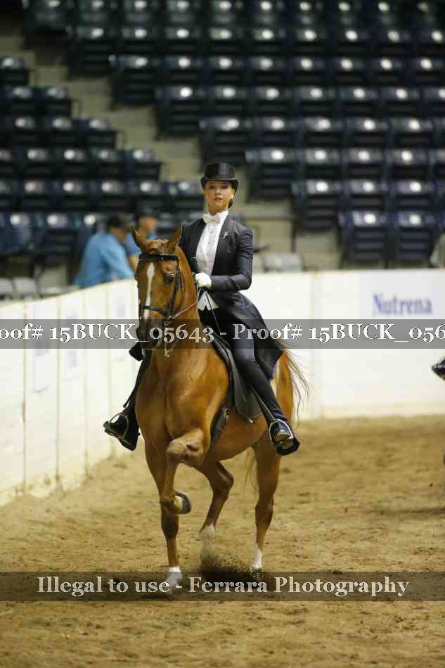 Proof 15BUCK_05643