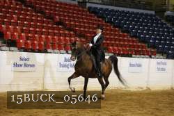 15BUCK_05646 proof