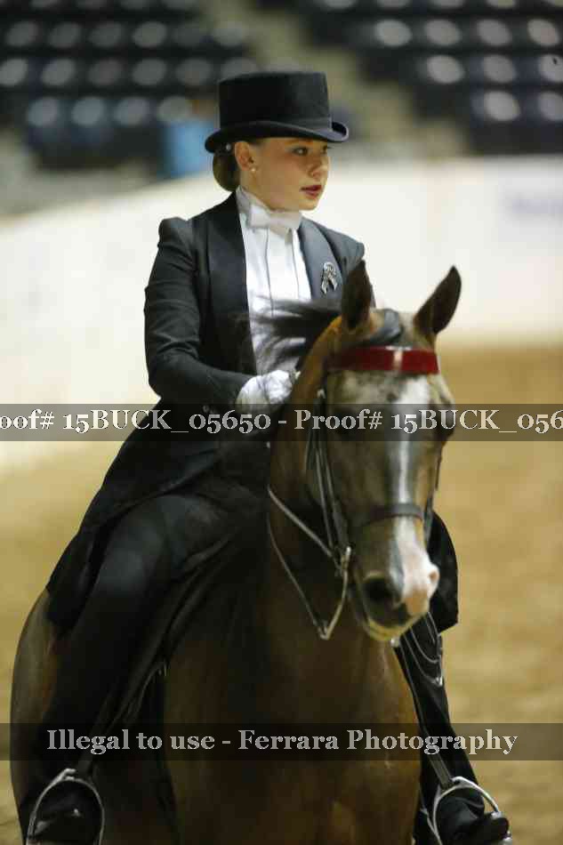 Proof 15BUCK_05650