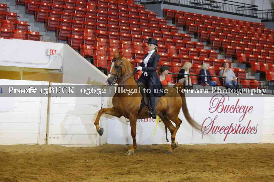 Proof 15BUCK_05652