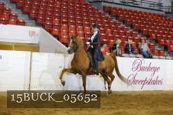 15BUCK_05652 proof