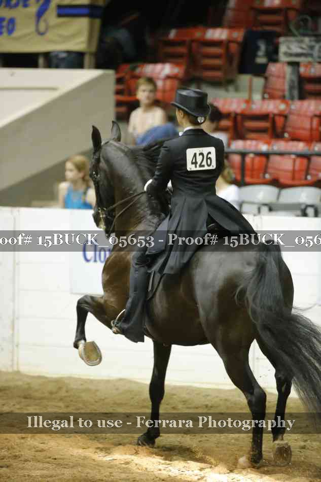 Proof 15BUCK_05653