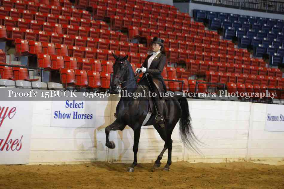 Proof 15BUCK_05656