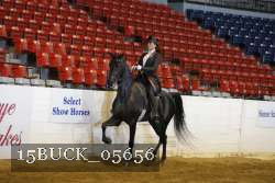 15BUCK_05656 proof