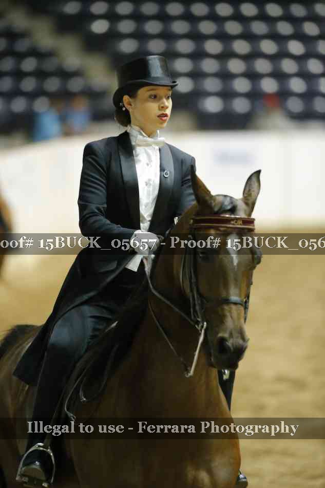 Proof 15BUCK_05657