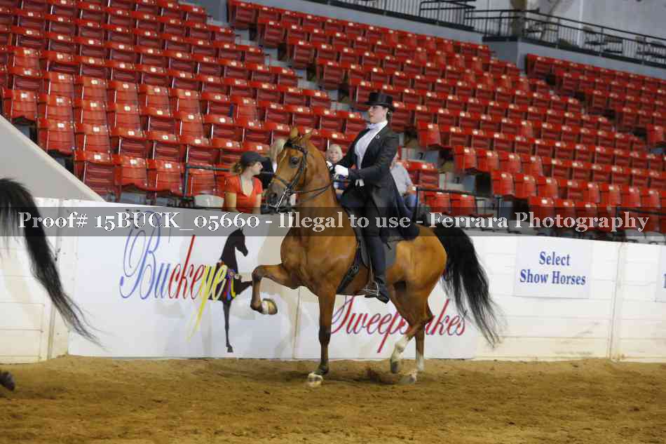 Proof 15BUCK_05660