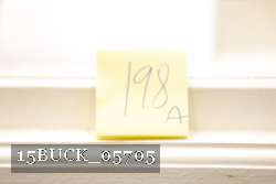 15BUCK_05705 proof