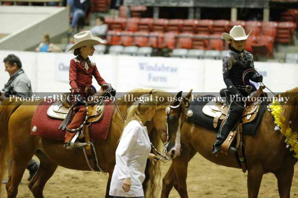 Proof 15BUCK_05729