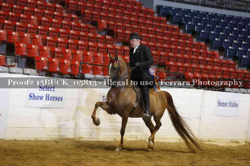 Proof 15BUCK_05813