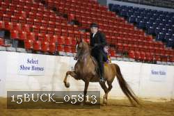 15BUCK_05813 proof