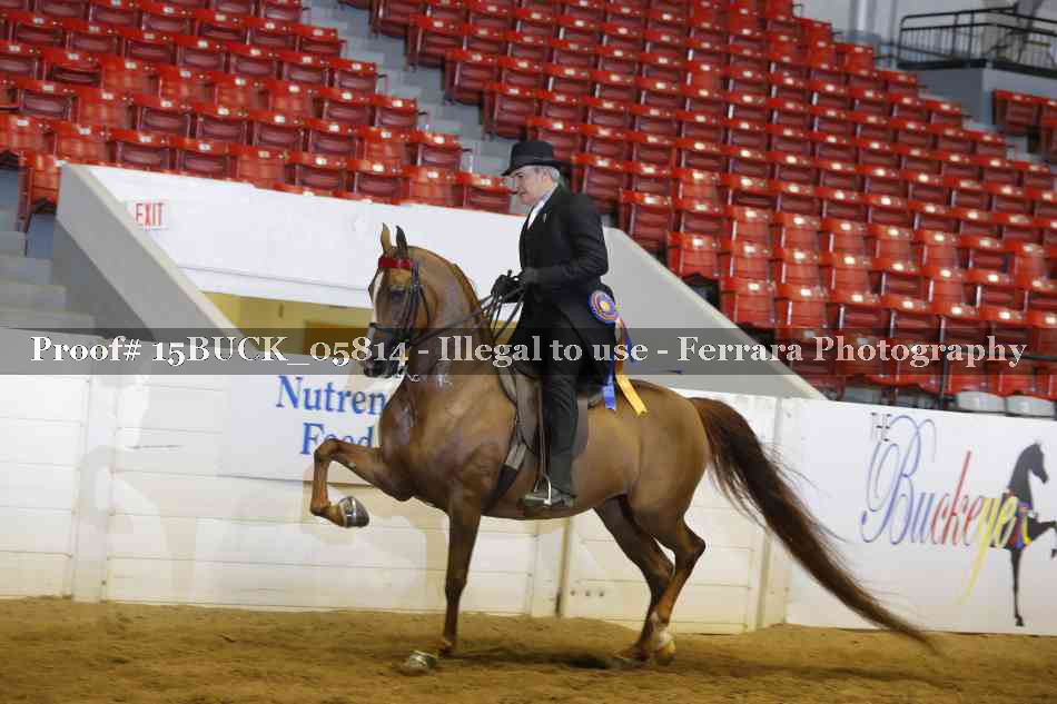 Proof 15BUCK_05814