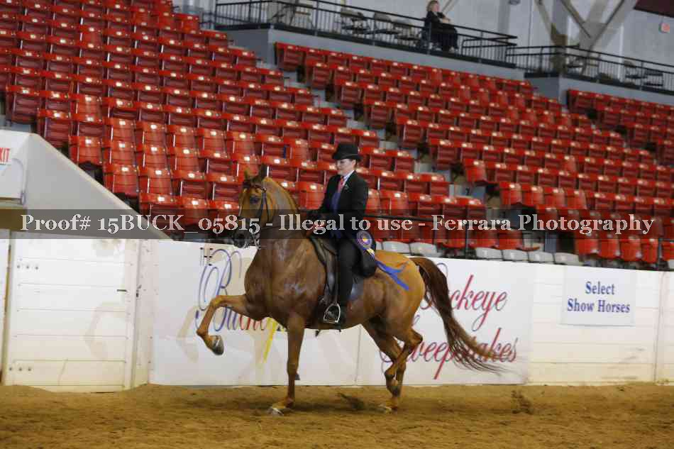 Proof 15BUCK_05815
