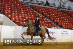 15BUCK_05815 proof