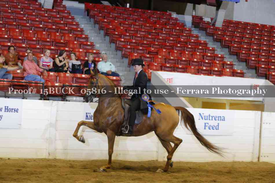 Proof 15BUCK_05816