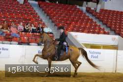 15BUCK_05816 proof