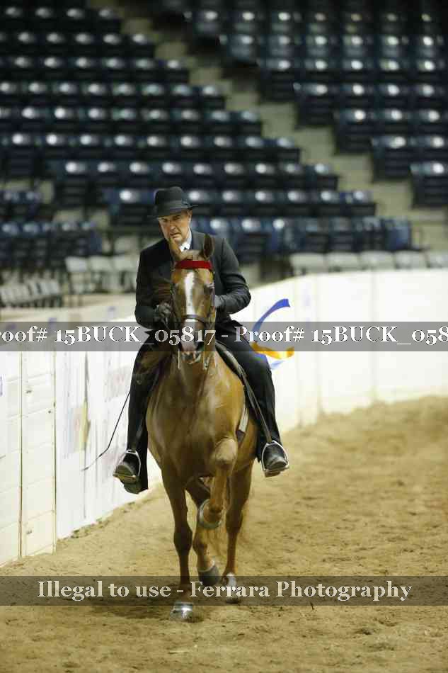 Proof 15BUCK_05817