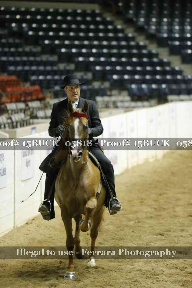 Proof 15BUCK_05818