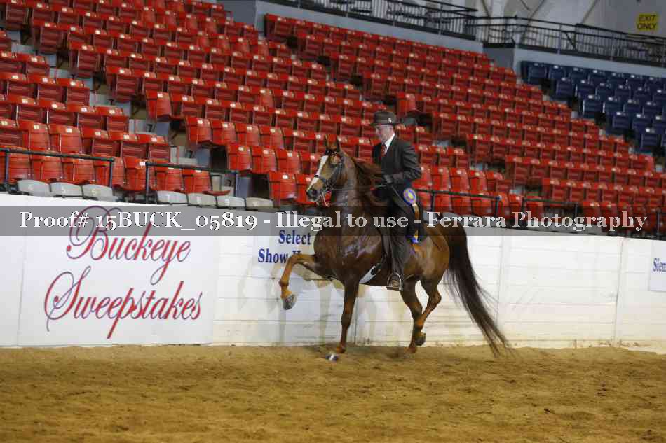 Proof 15BUCK_05819