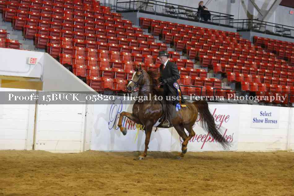 Proof 15BUCK_05820
