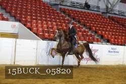 15BUCK_05820 proof