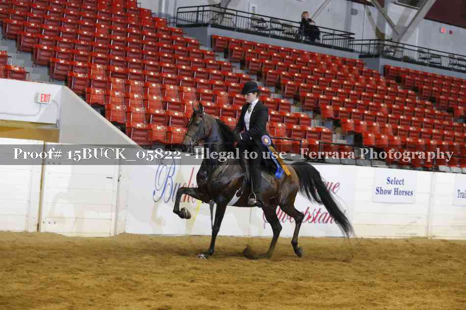 Proof 15BUCK_05822