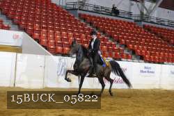 15BUCK_05822 proof