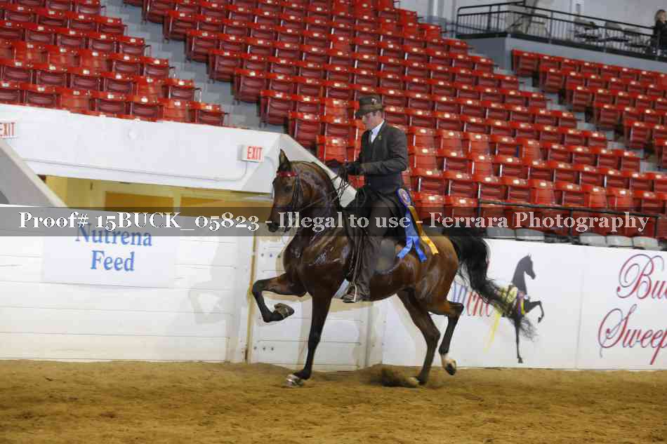 Proof 15BUCK_05823