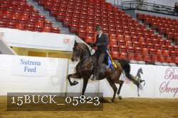 15BUCK_05823 proof