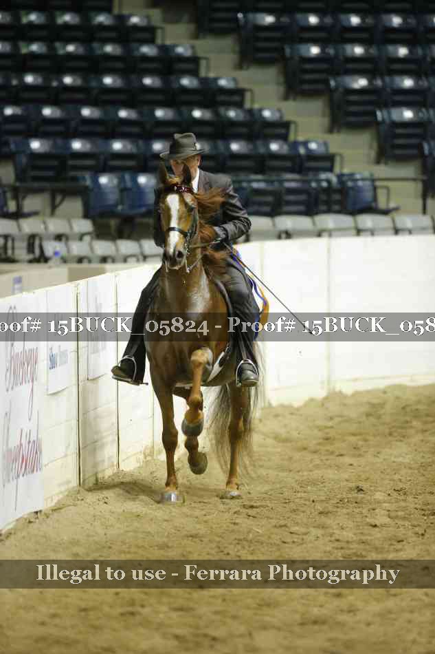 Proof 15BUCK_05824