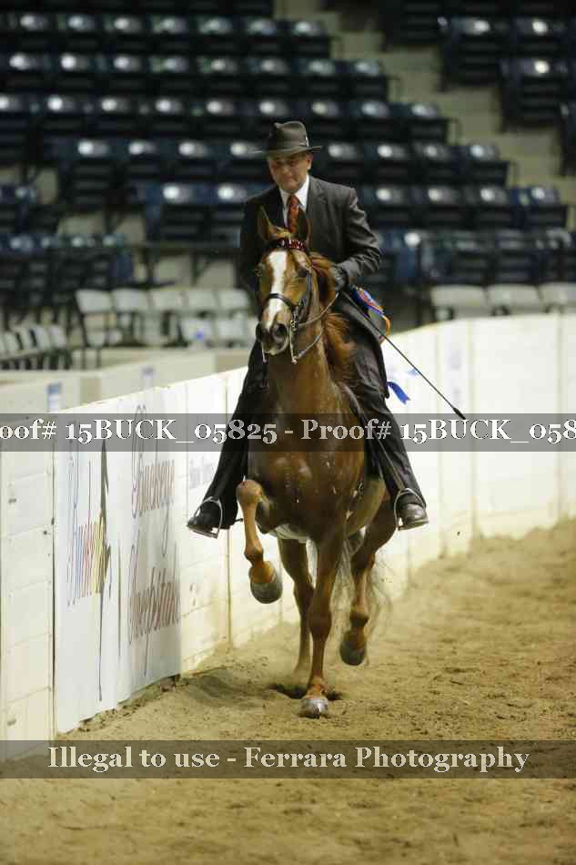 Proof 15BUCK_05825