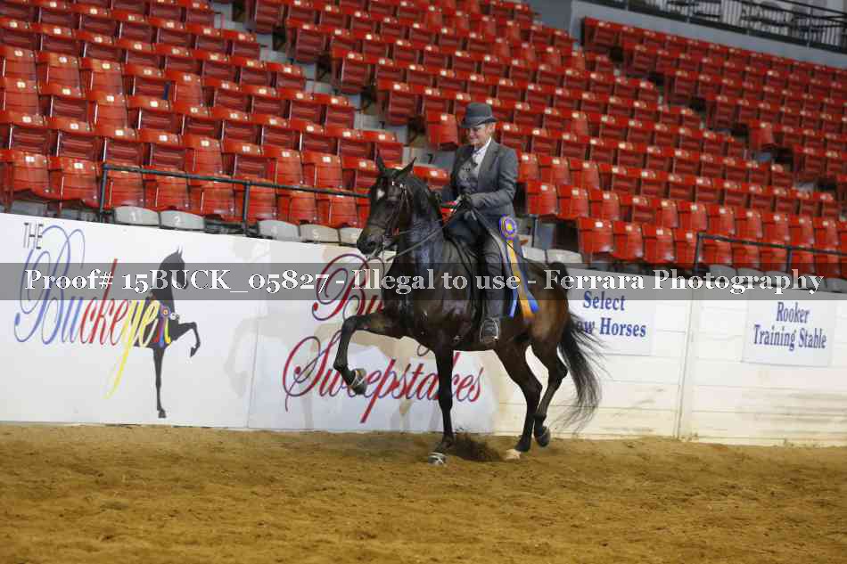 Proof 15BUCK_05827