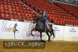 15BUCK_05827 proof