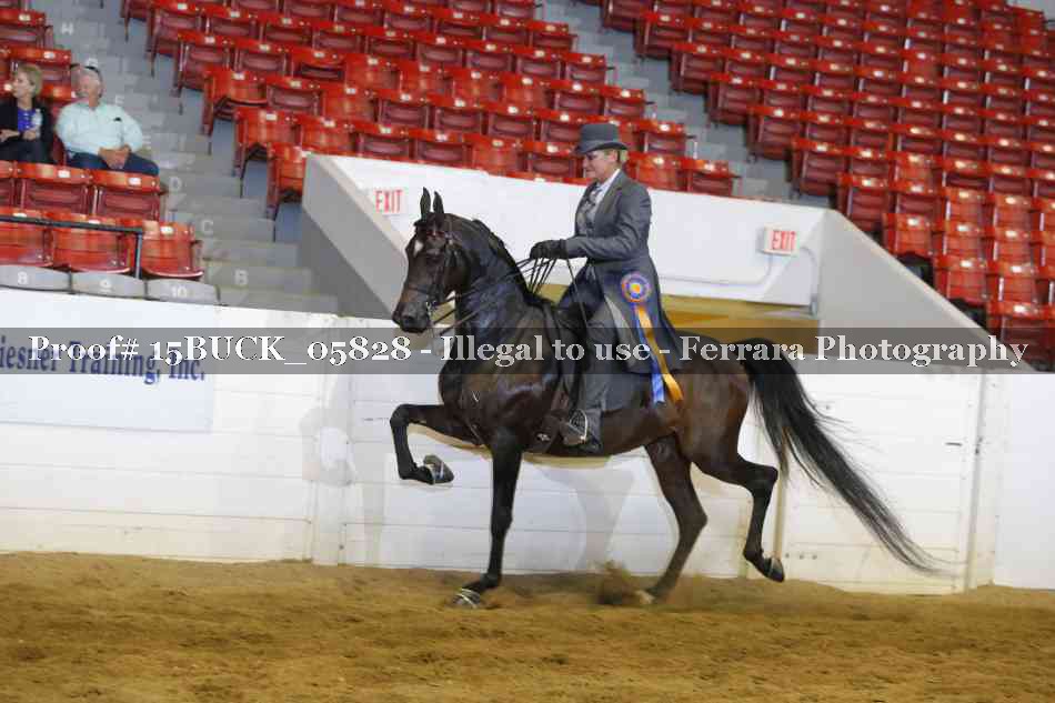 Proof 15BUCK_05828