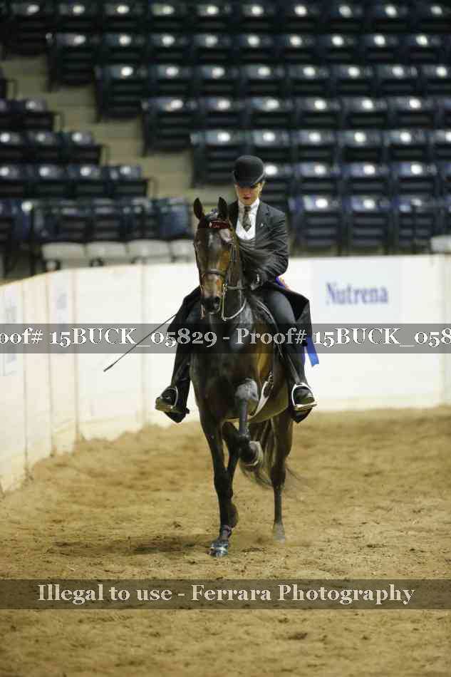 Proof 15BUCK_05829