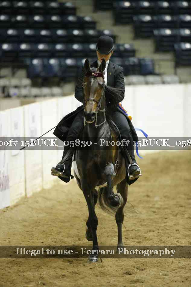 Proof 15BUCK_05830